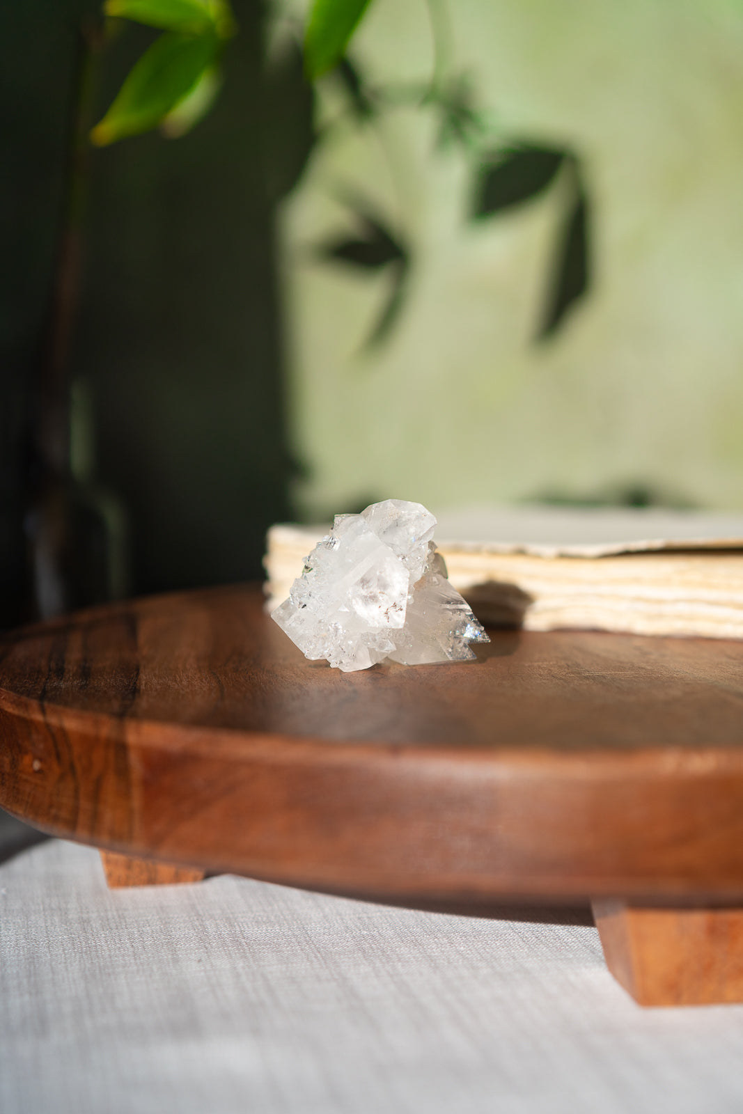 Glossy Apophyllite with Stilbite