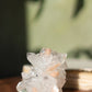 Glossy Apophyllite with Stilbite