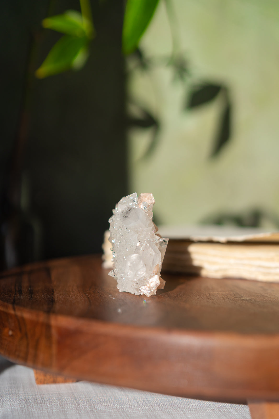 Glossy Apophyllite with Stilbite