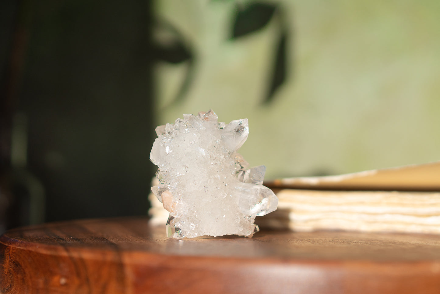 Glossy Apophyllite with Stilbite