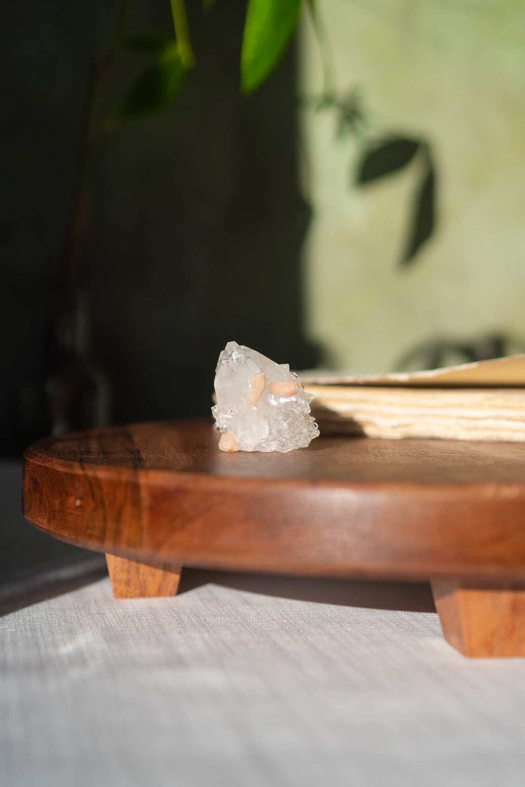 Glossy Apophyllite with Stilbite