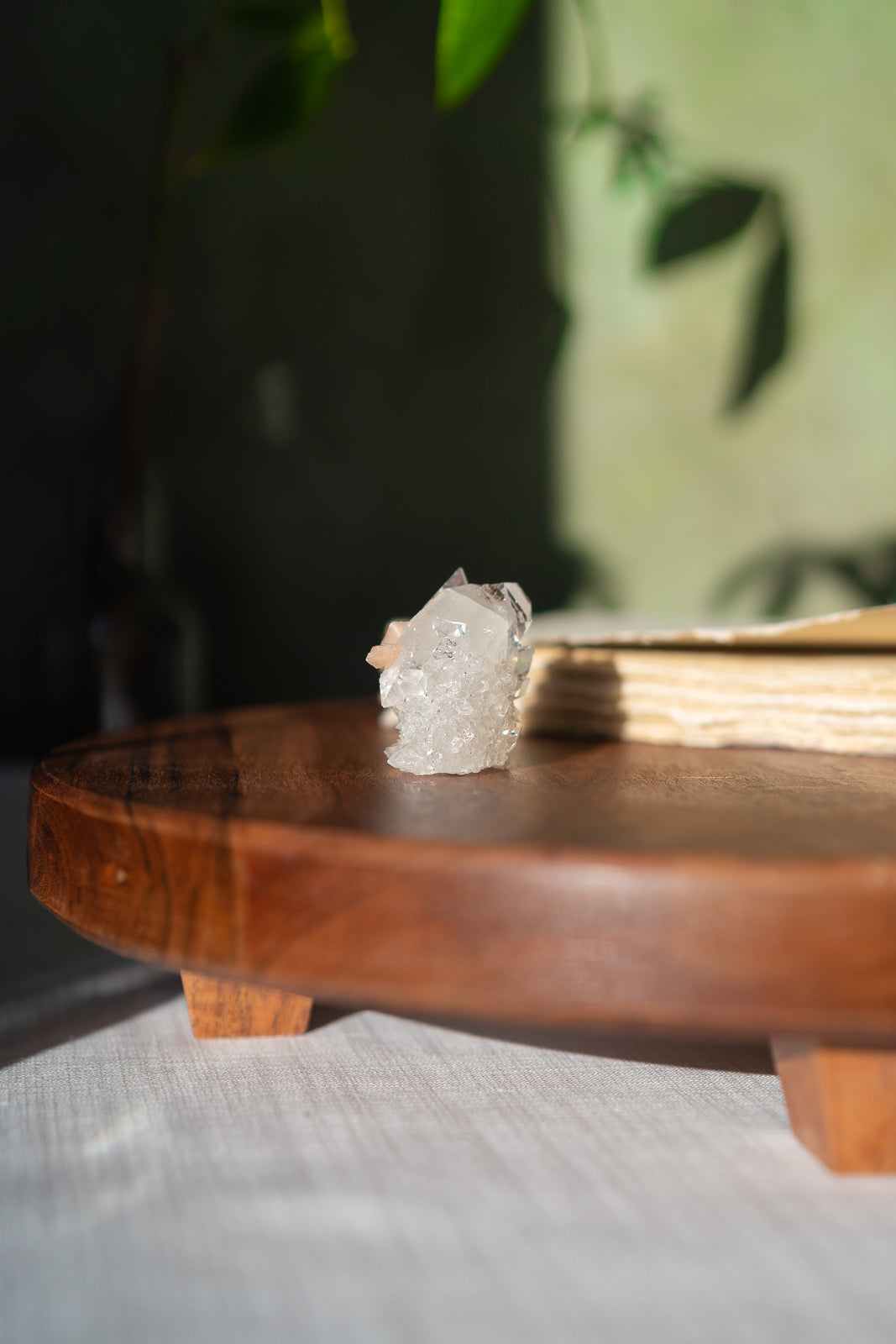 Glossy Apophyllite with Stilbite