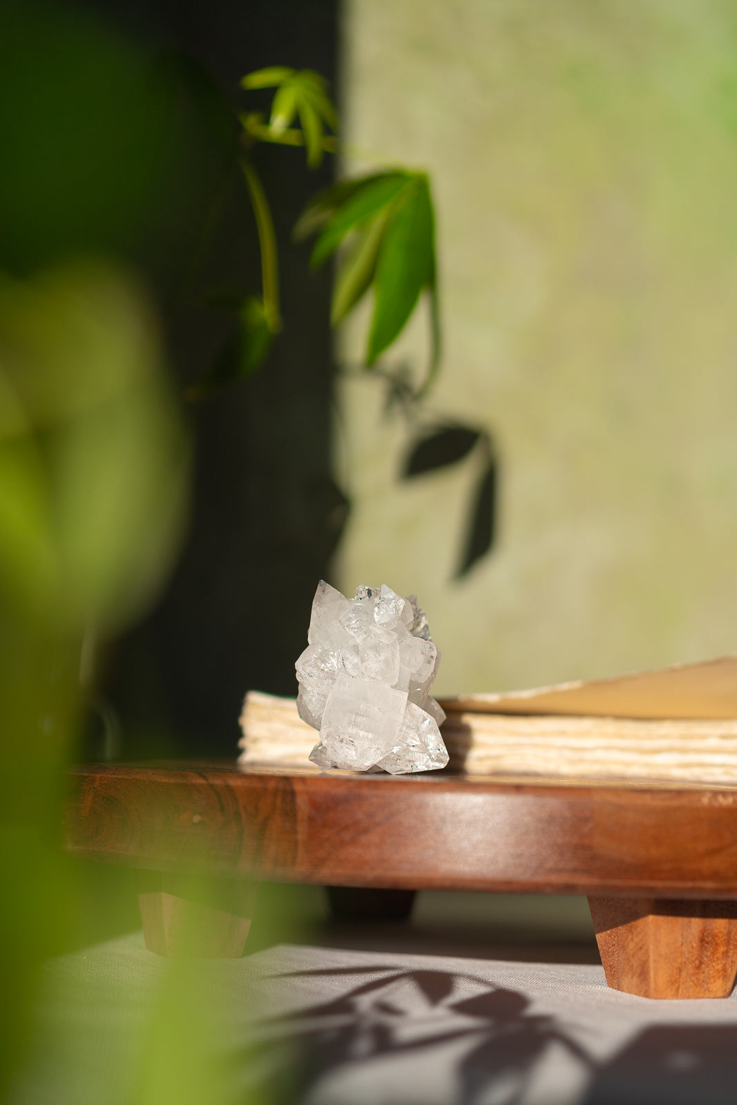 Glossy Apophyllite Specimen