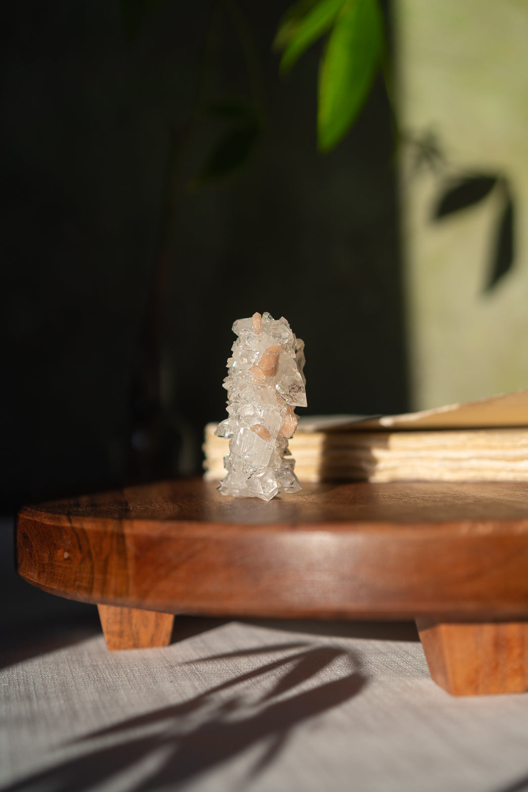 Glossy Apophyllite with Stilbite