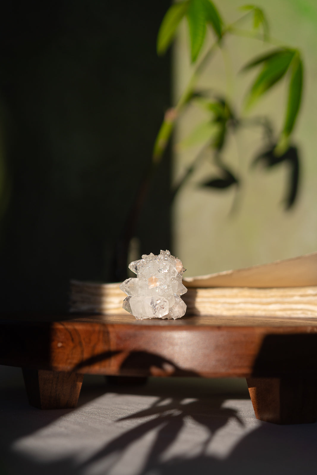 Glossy Apophyllite with Stilbite