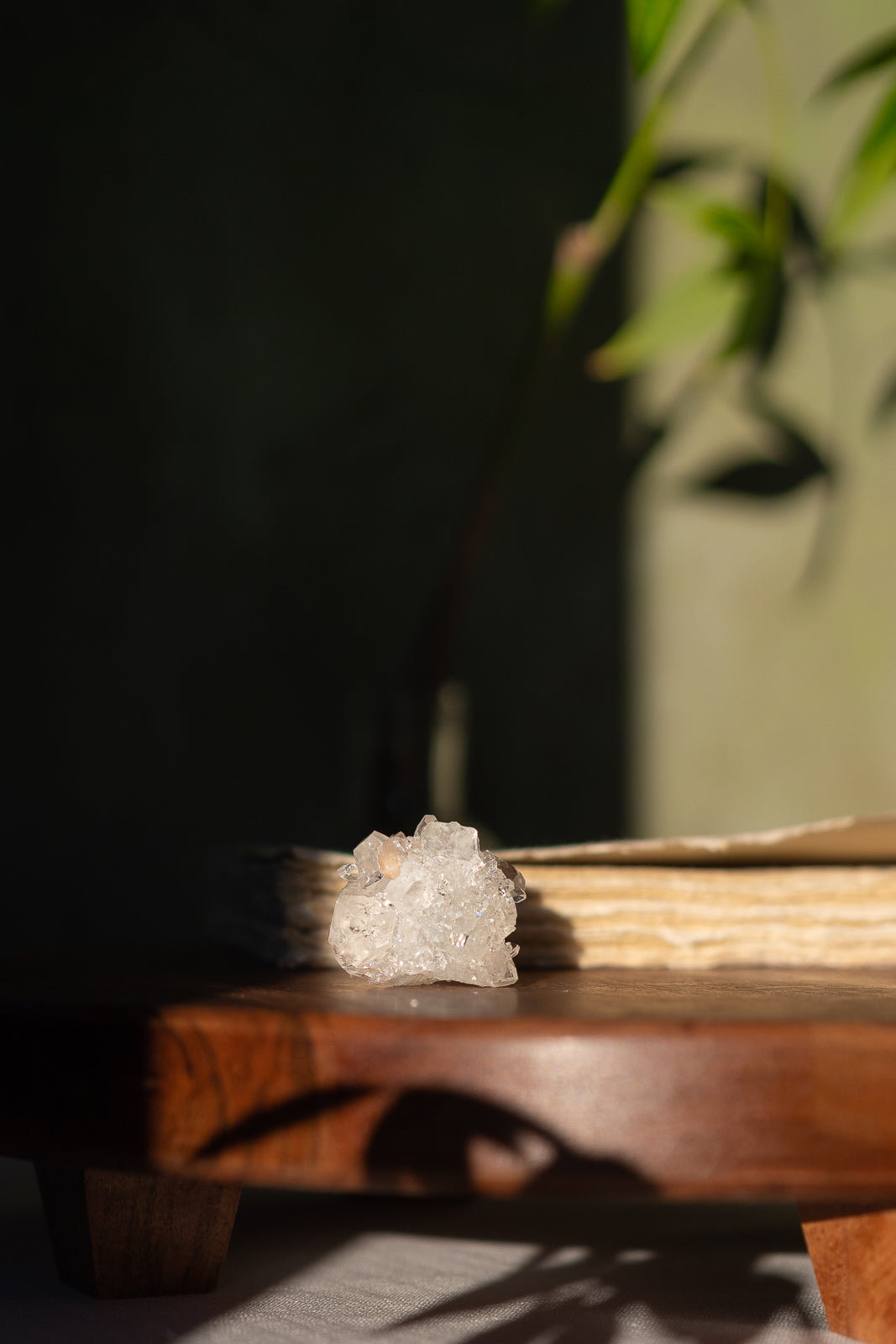 Glossy Apophyllite with Stilbite