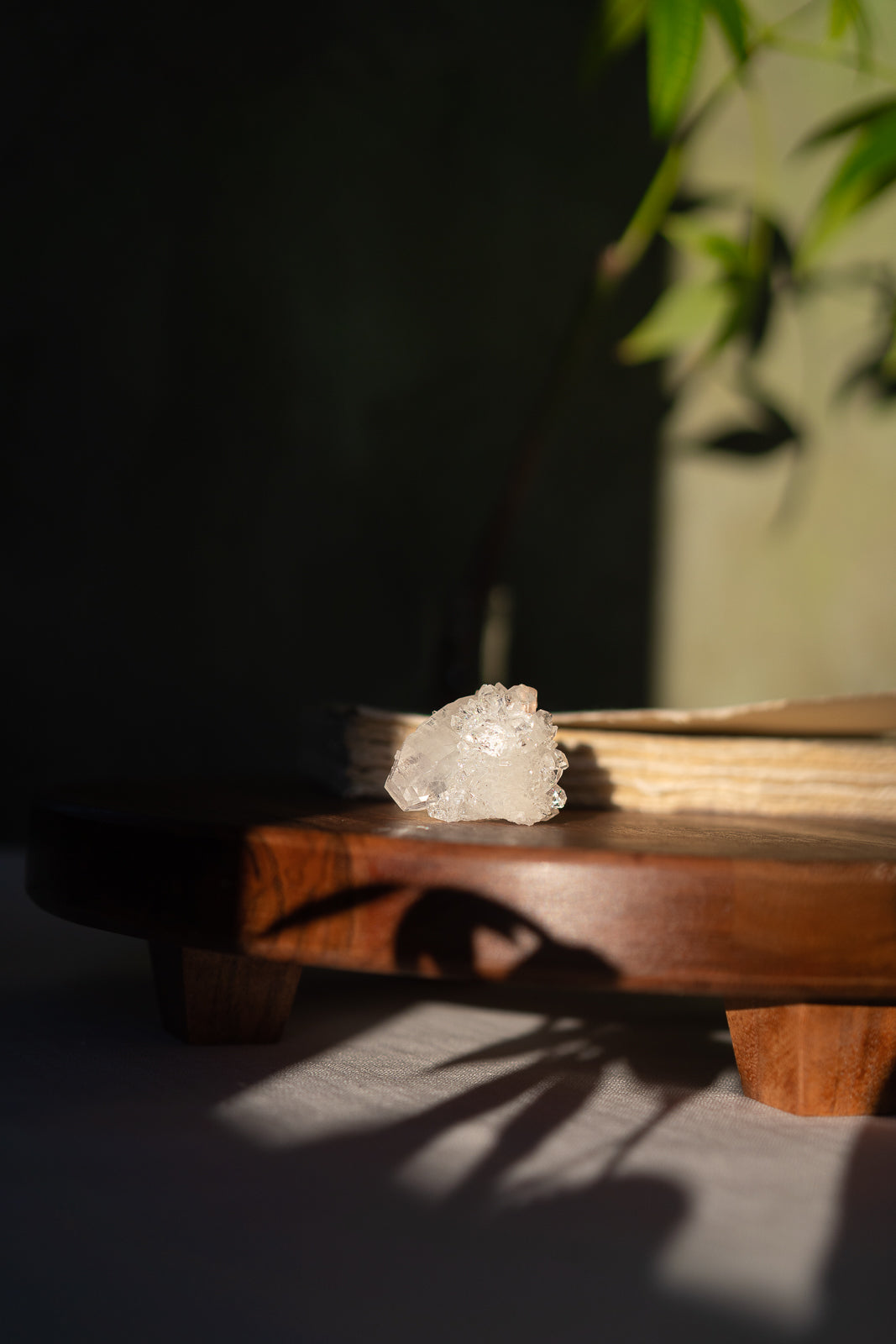 Glossy Apophyllite with Stilbite