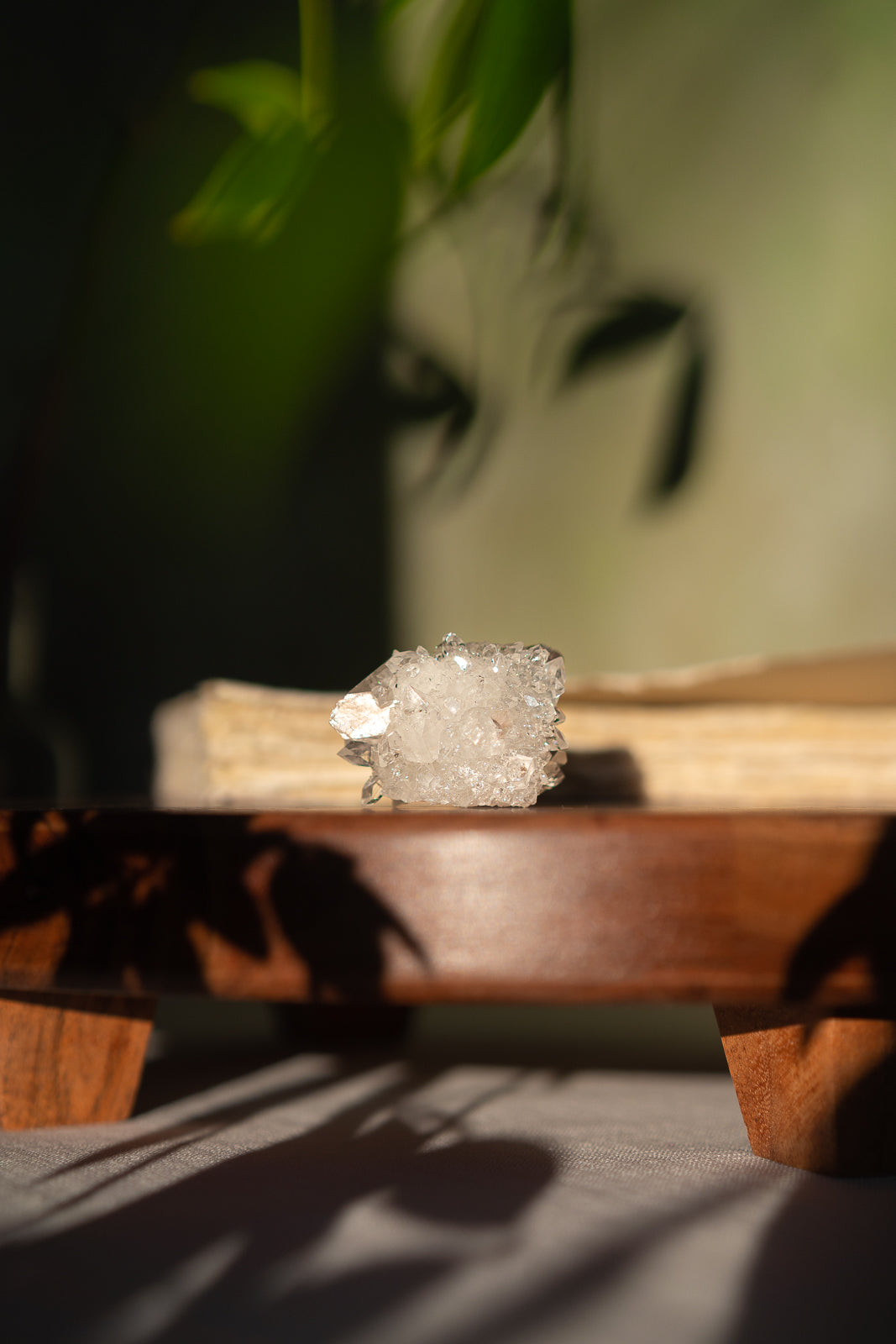 Glossy Apophyllite with Stilbite