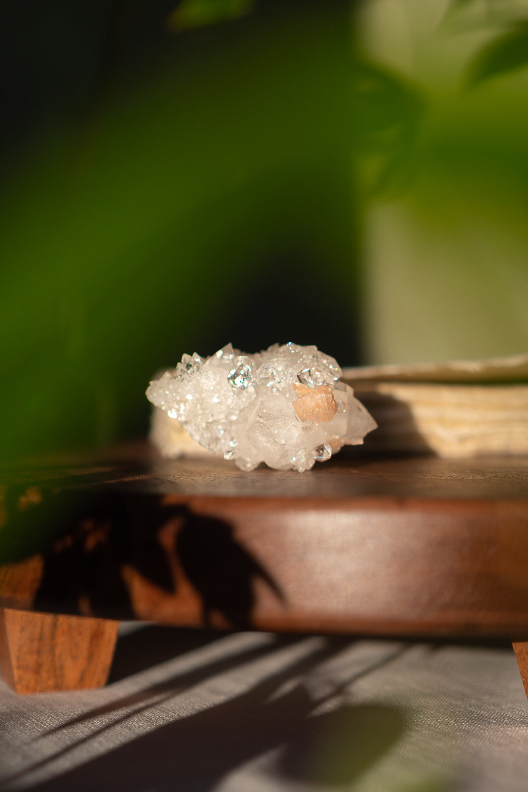 Glossy Apophyllite with Stilbite