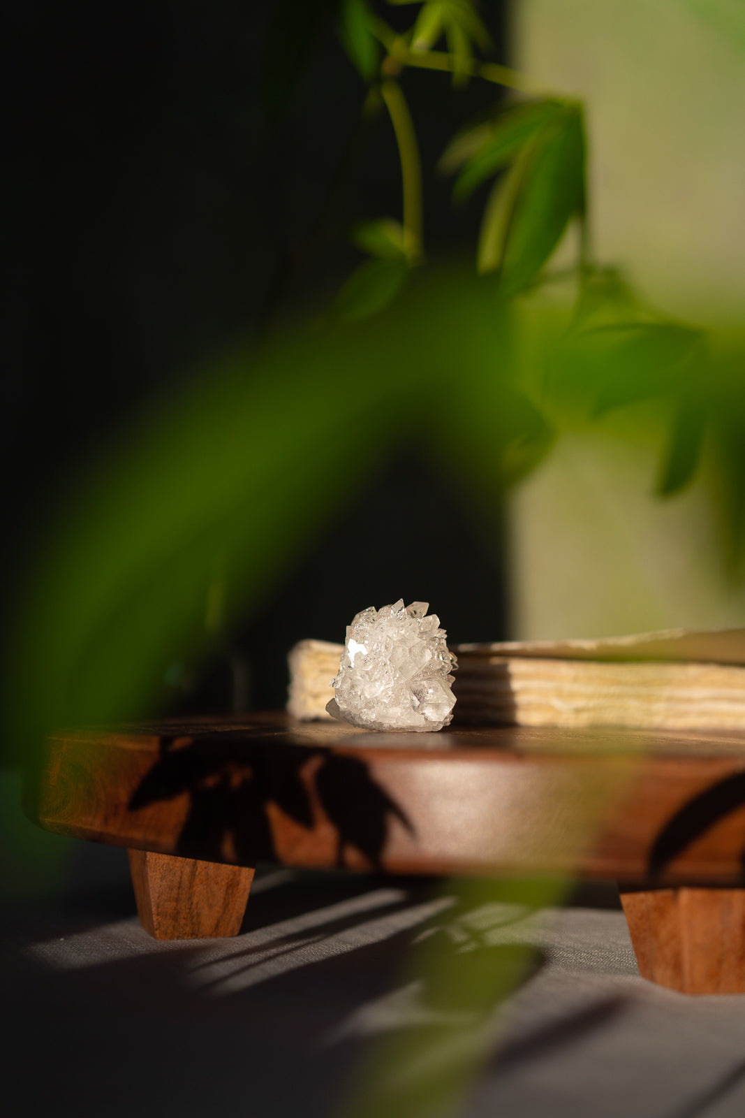 Glossy Apophyllite with Stilbite