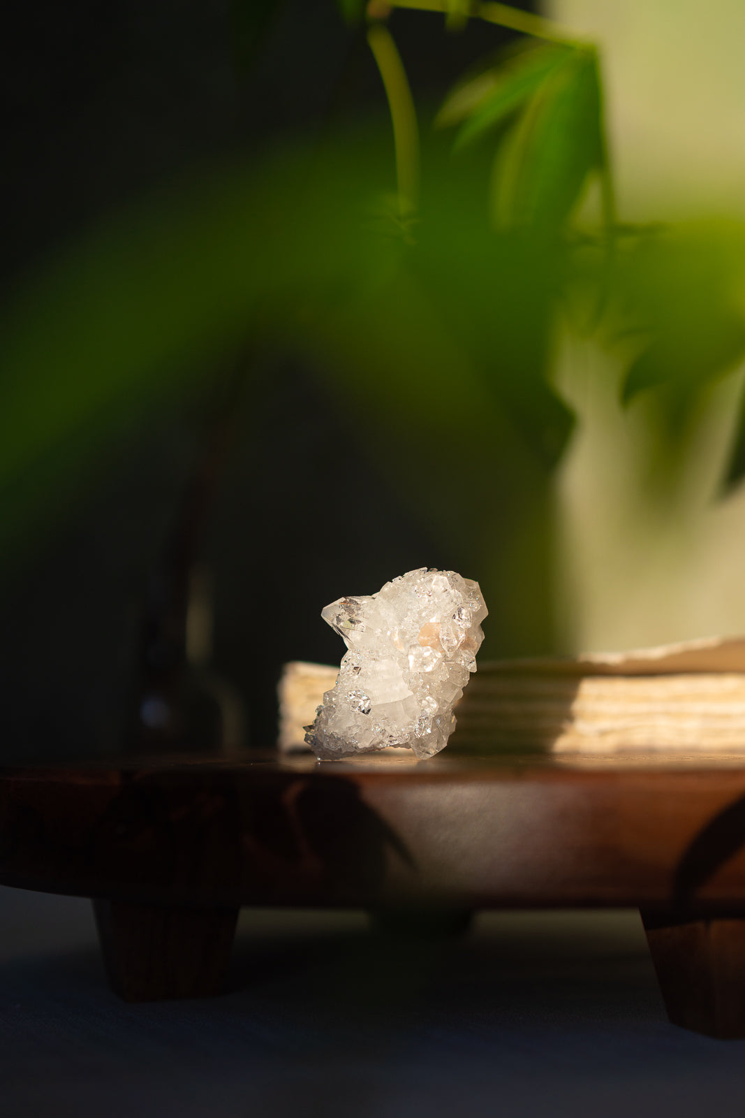 Glossy Apophyllite with Stilbite