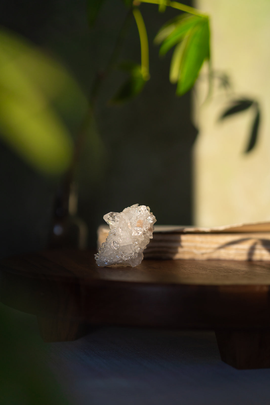 Glossy Apophyllite with Stilbite