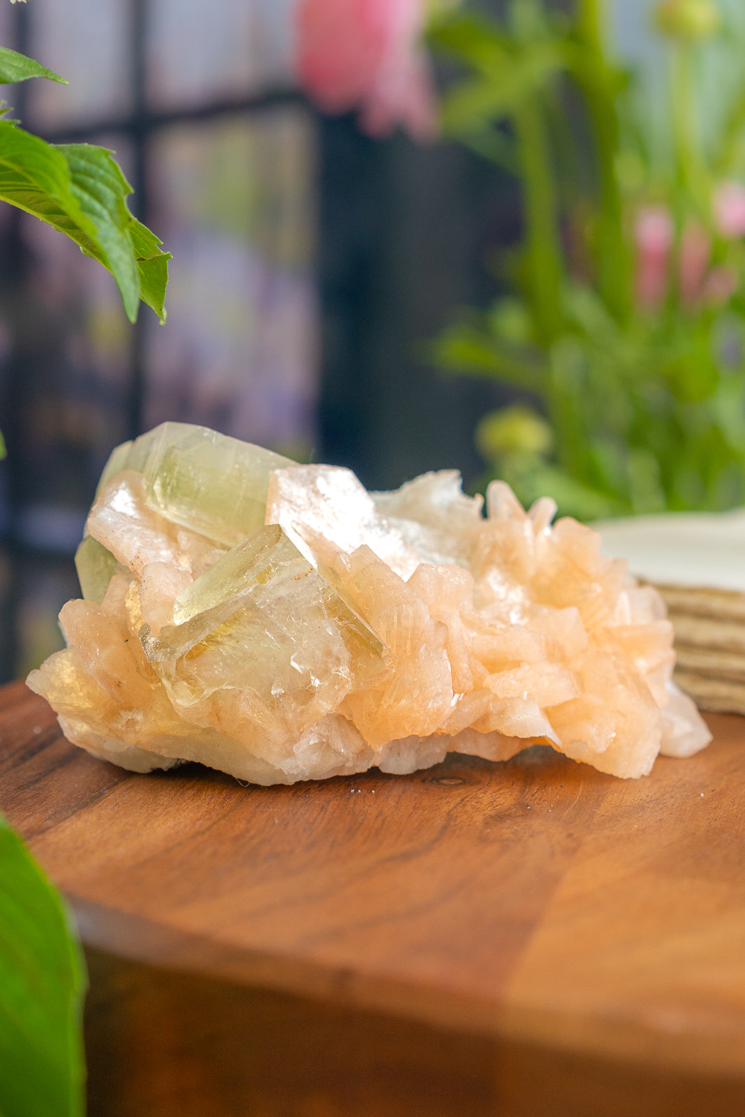 Green Apophyllite with Peach Stilbite and Okenite