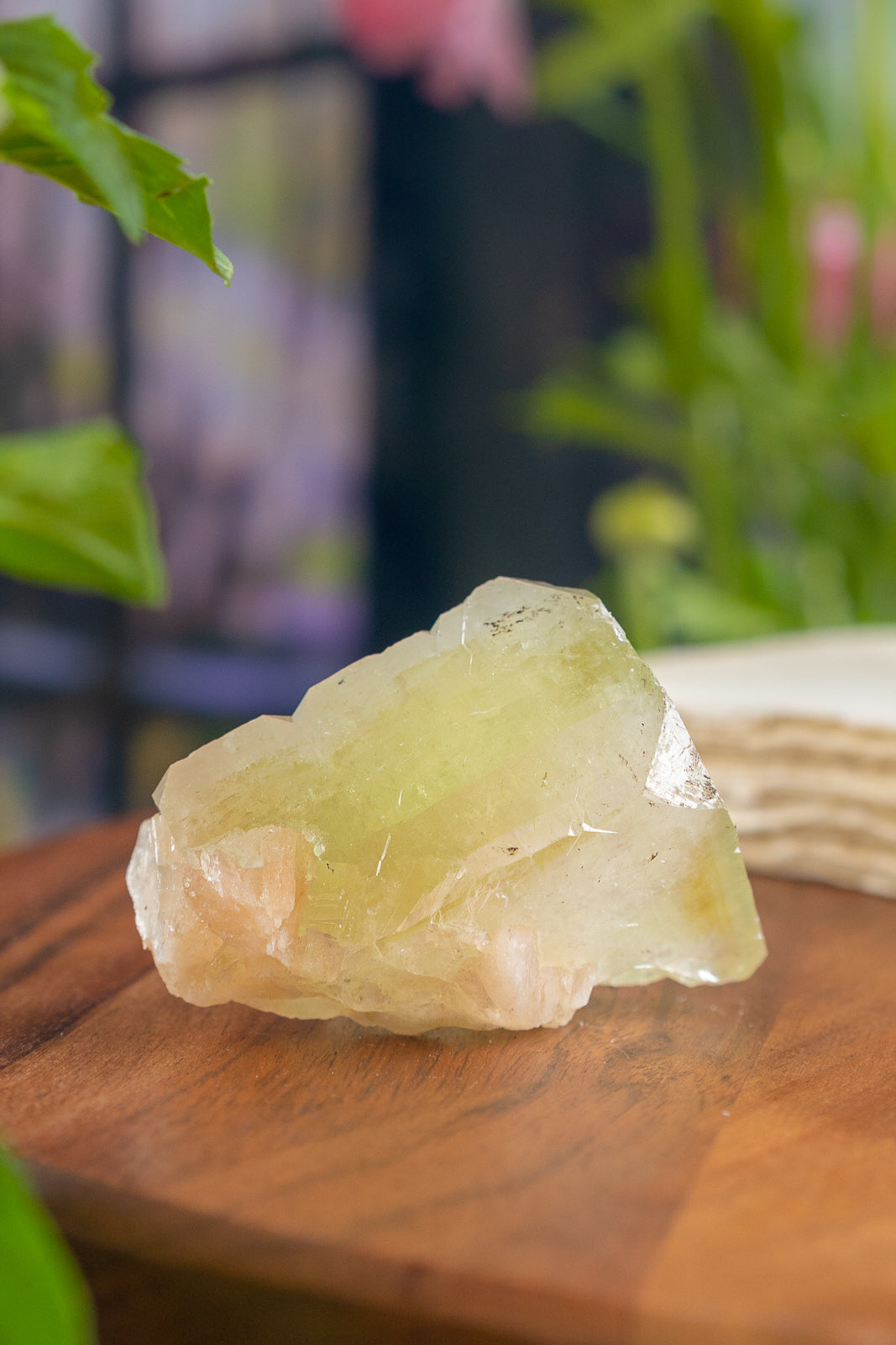 Green Apophyllite with Peach Stilbite