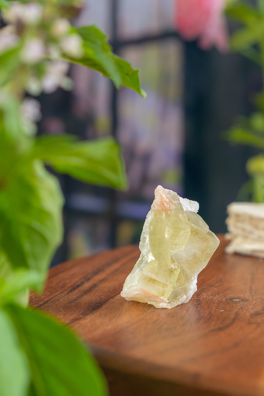 Green Apophyllite with Peach Stilbite