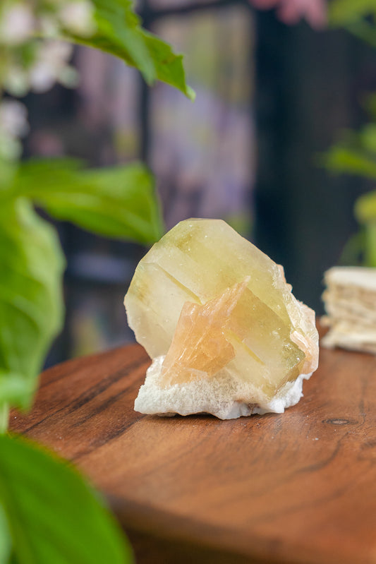 Green Apophyllite with Peach Stilbite and Okenite