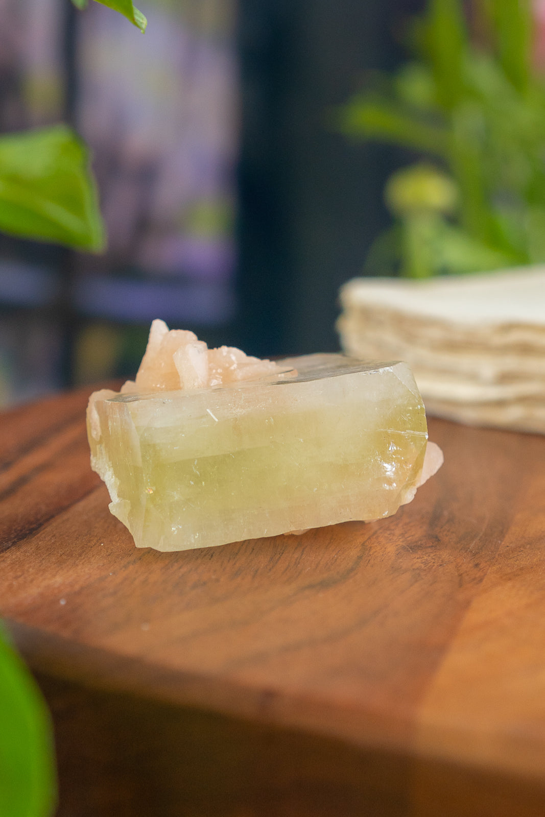 Green Apophyllite with Peach Stilbite