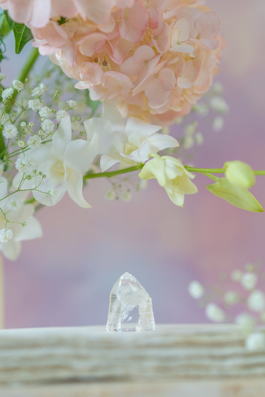 Lemurian Quartz Point