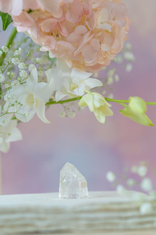 Lemurian Quartz Point