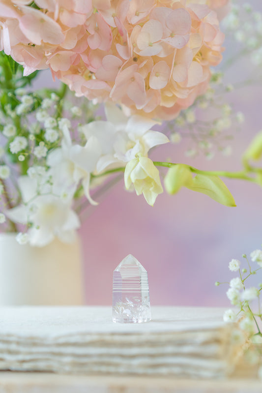 Lemurian Quartz Point