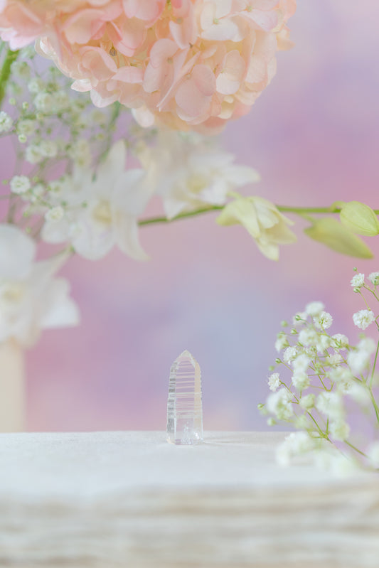 Lemurian Quartz Point