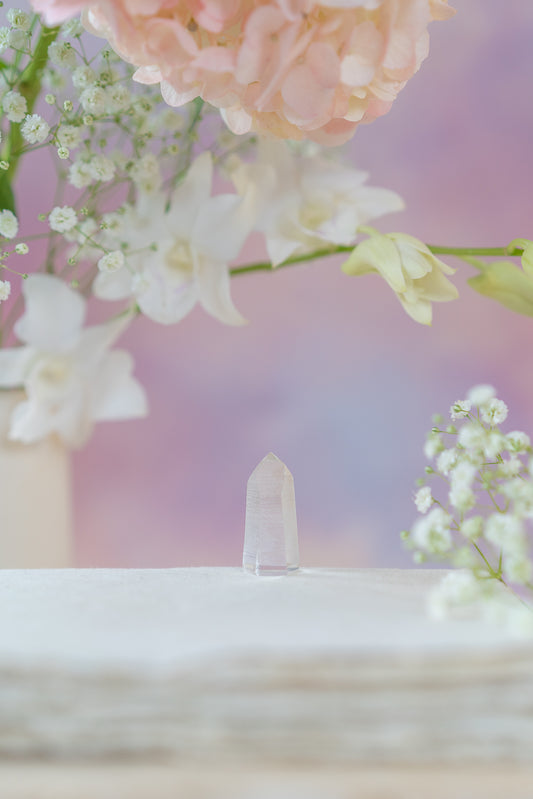 Lemurian Quartz Point