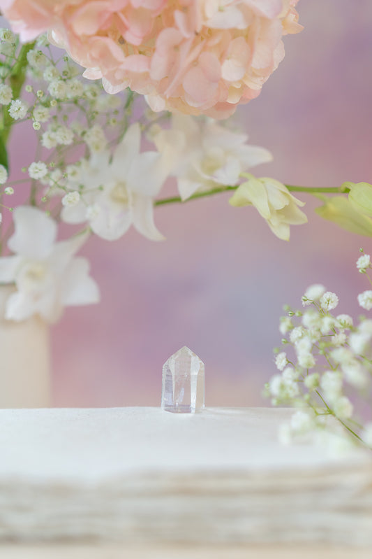 Lemurian Quartz Point