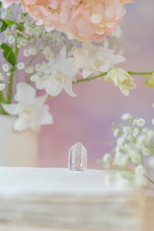 Lemurian Quartz Point