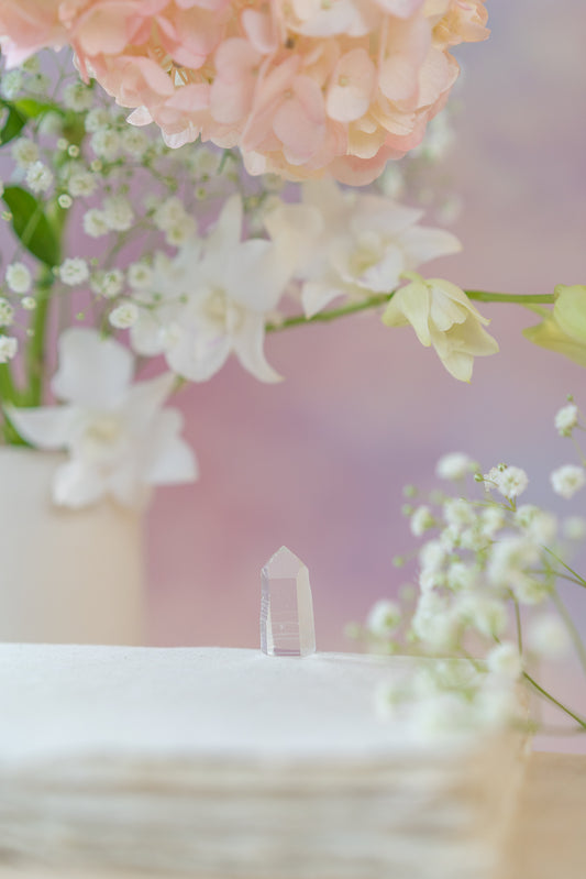 Lemurian Quartz Point