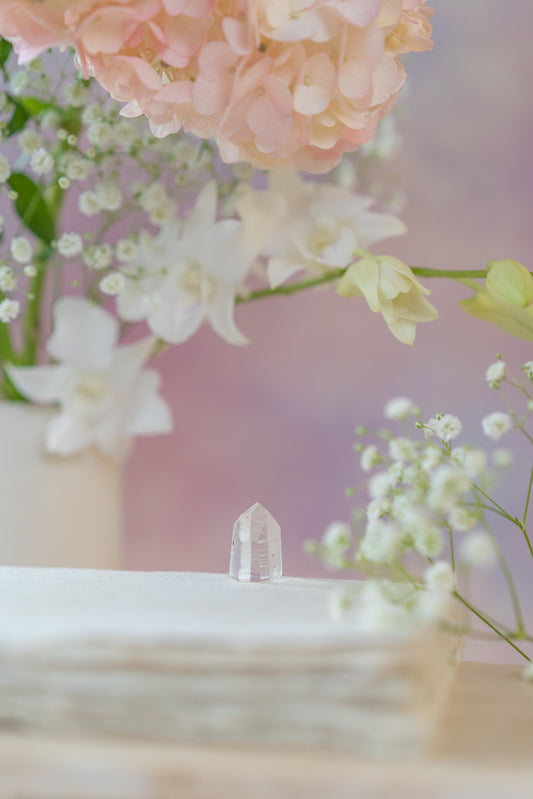 Lemurian Quartz Point