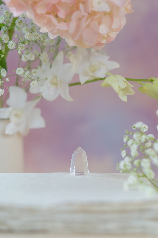 Lemurian Quartz Point