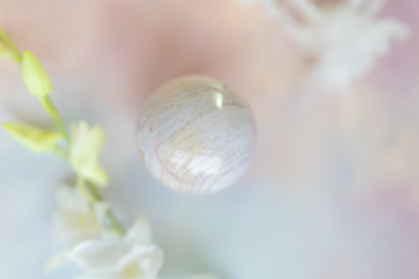 Sea Jasper Egg