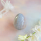 Sea Jasper Egg