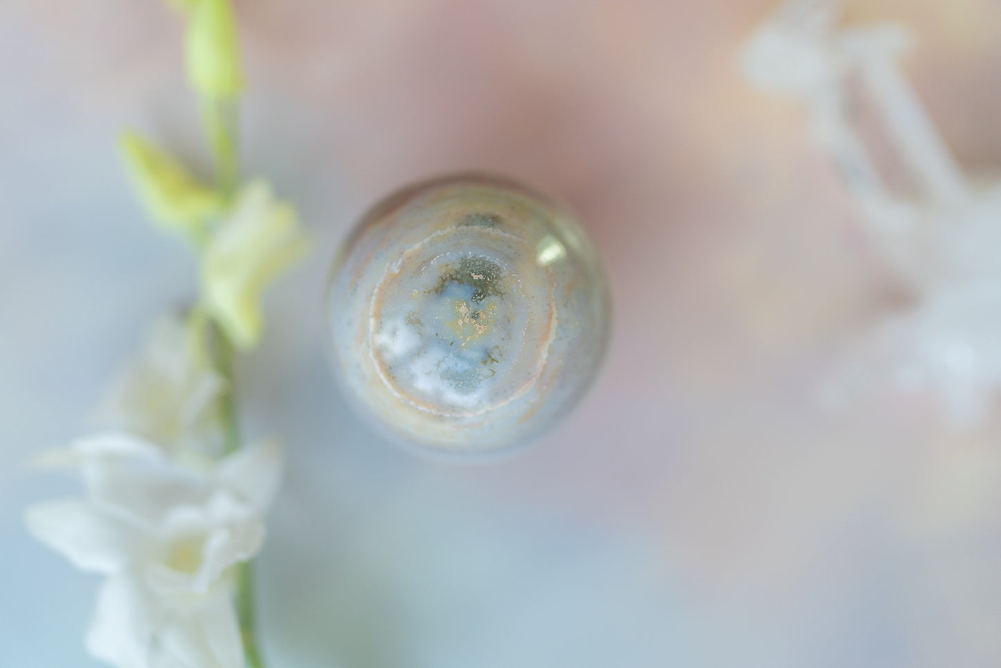 Sea Jasper Egg