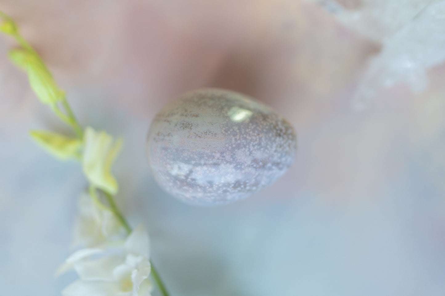 Sea Jasper Egg