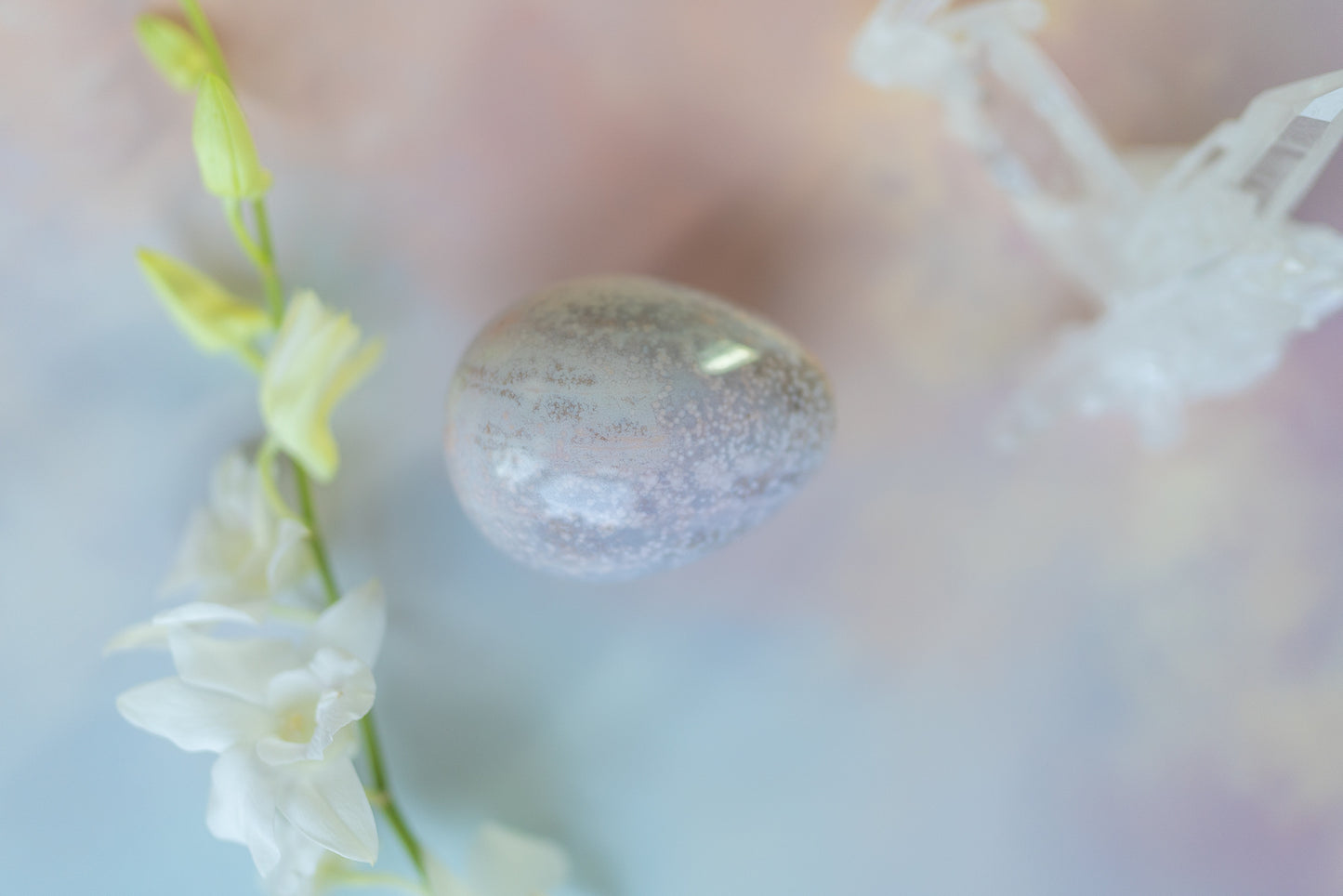 Sea Jasper Egg