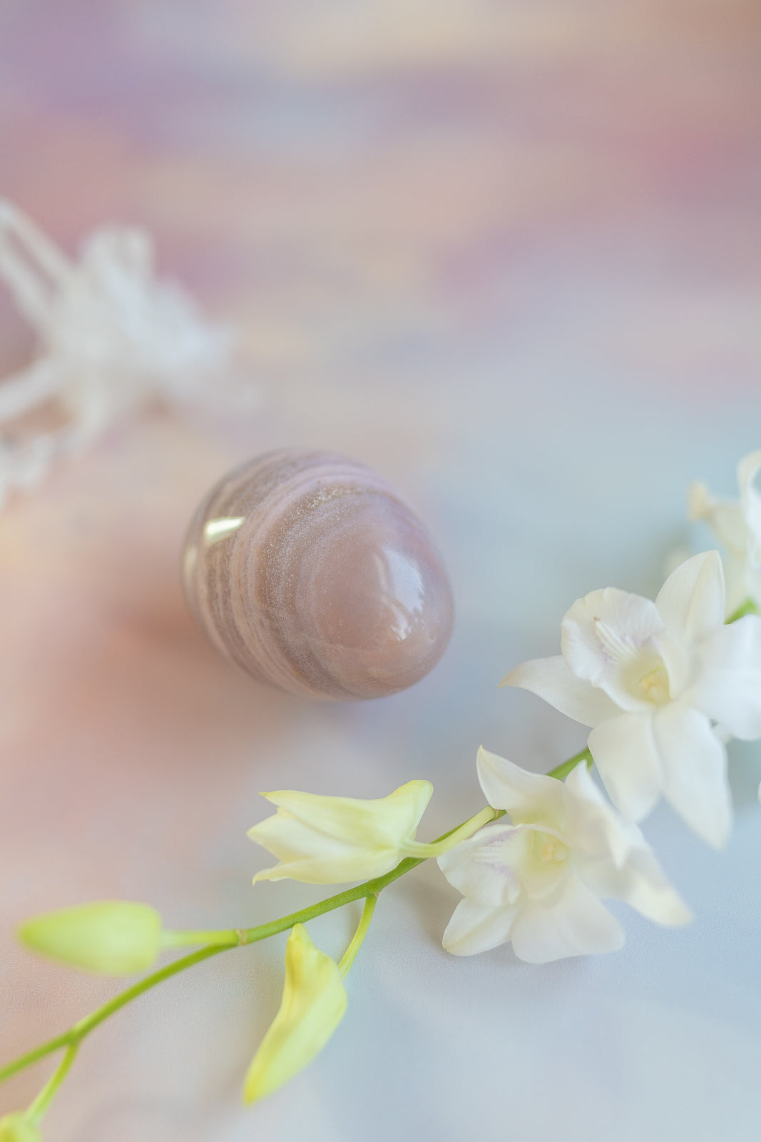 Sea Jasper Egg