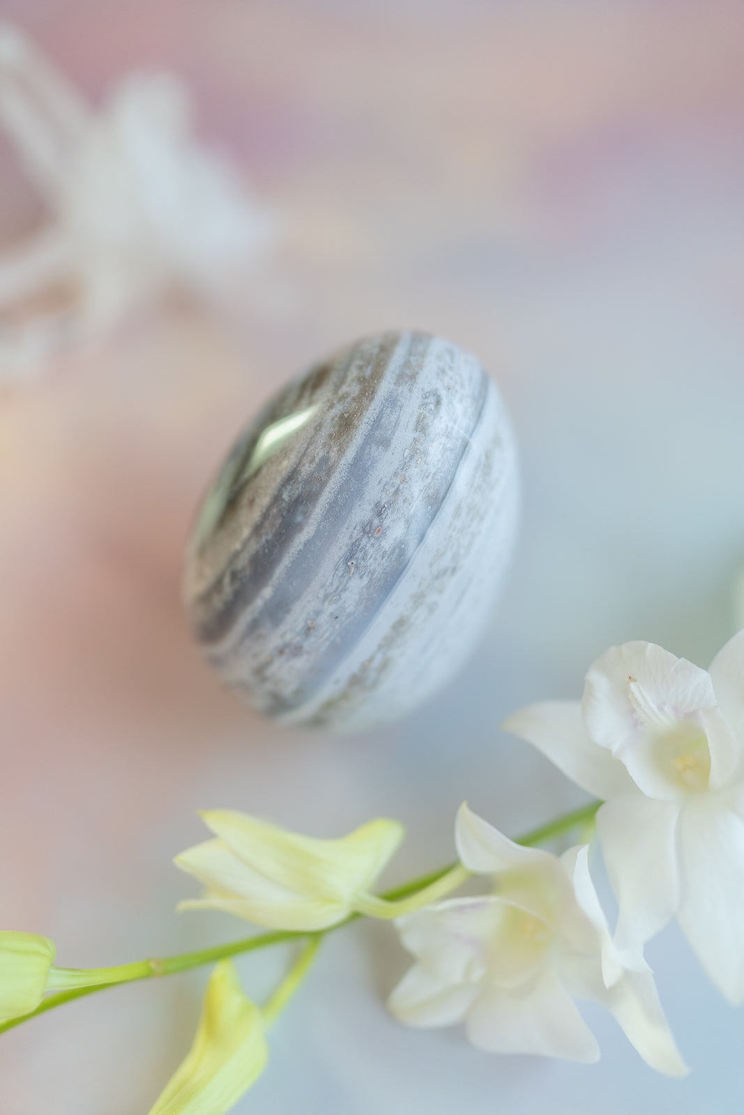 Sea Jasper Egg