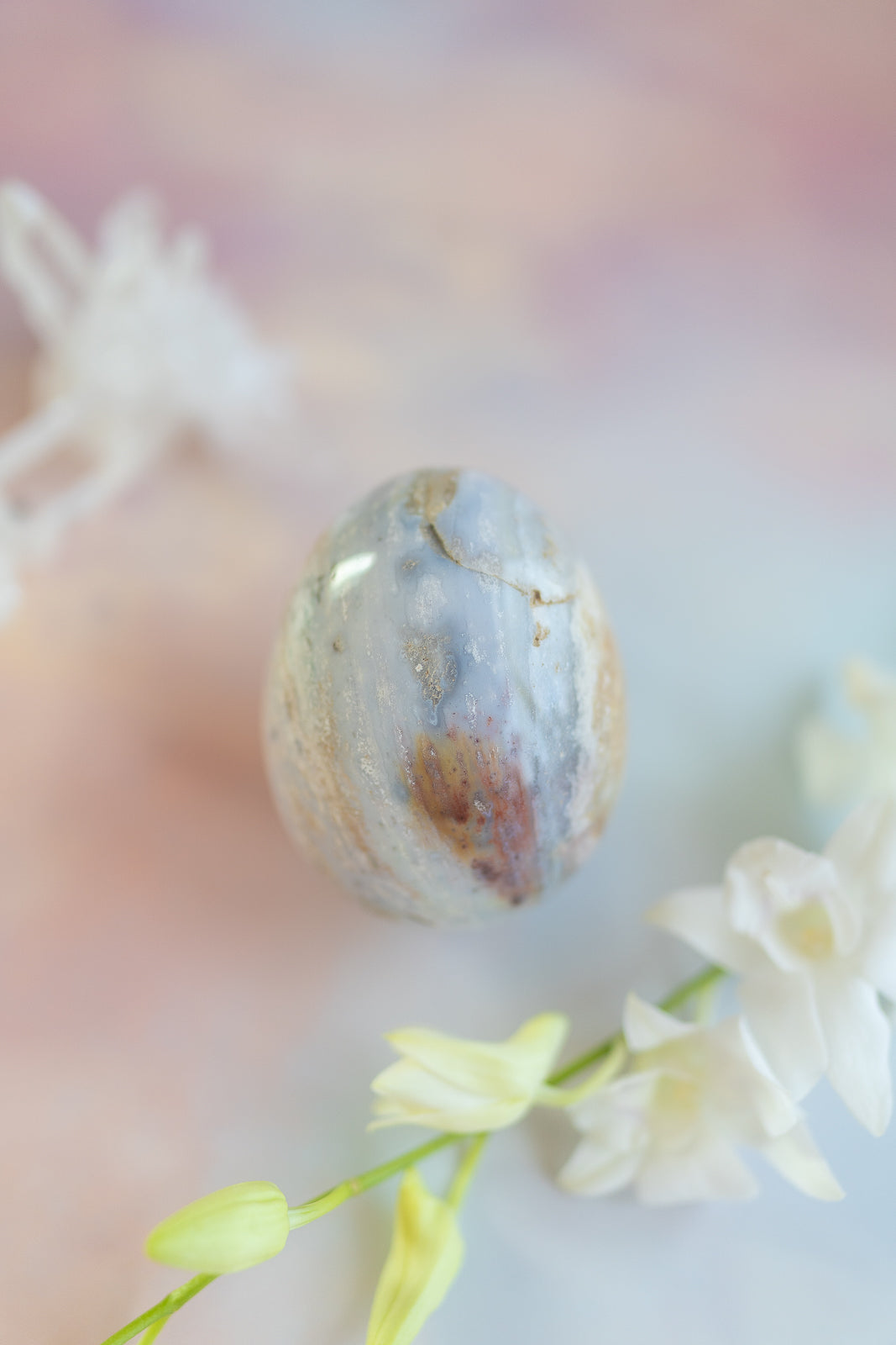 Sea Jasper Egg