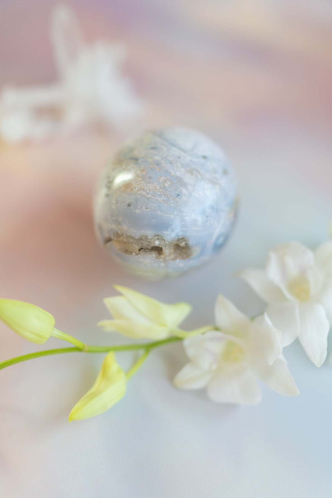 Sea Jasper Egg