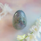 Sea Jasper Egg