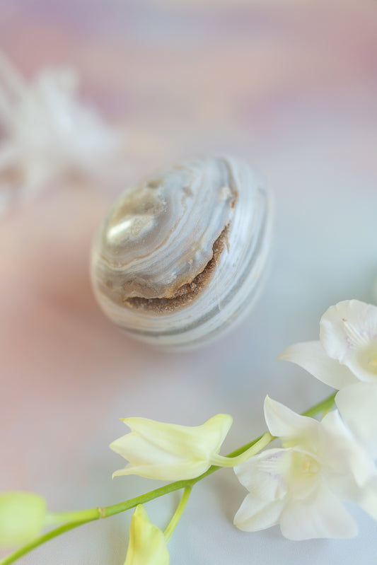 Sea Jasper Egg