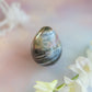 Sea Jasper Egg