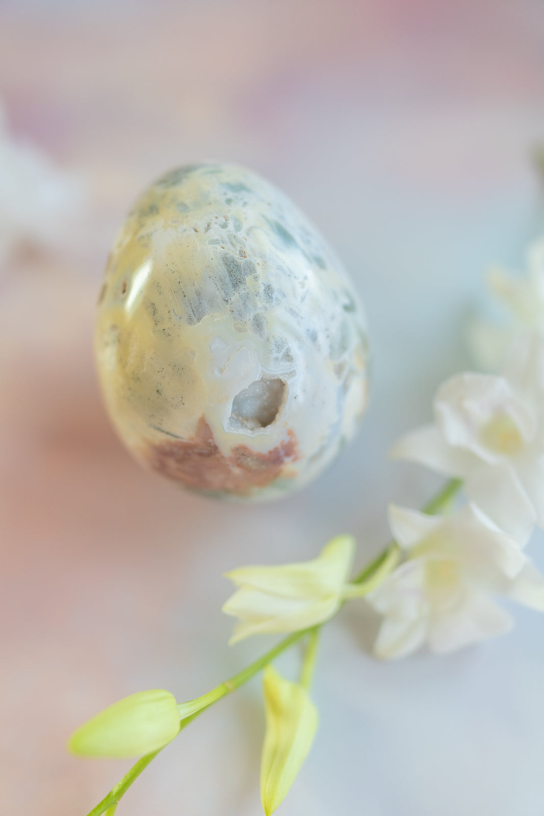 Sea Jasper Egg