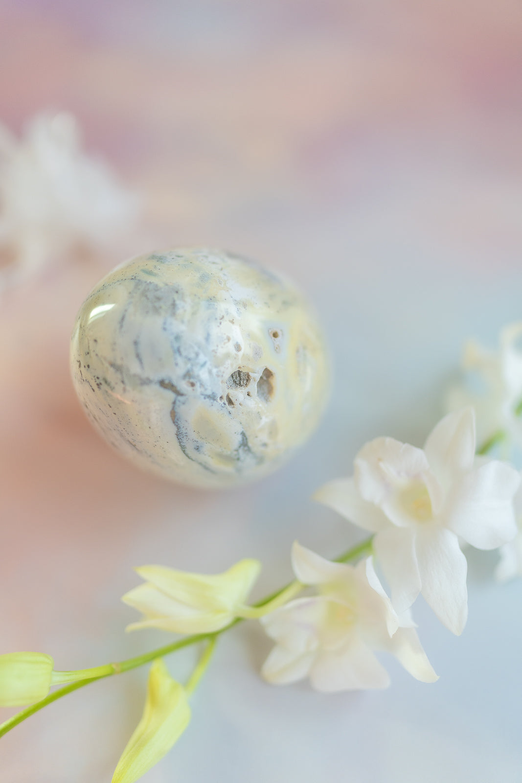 Sea Jasper Egg