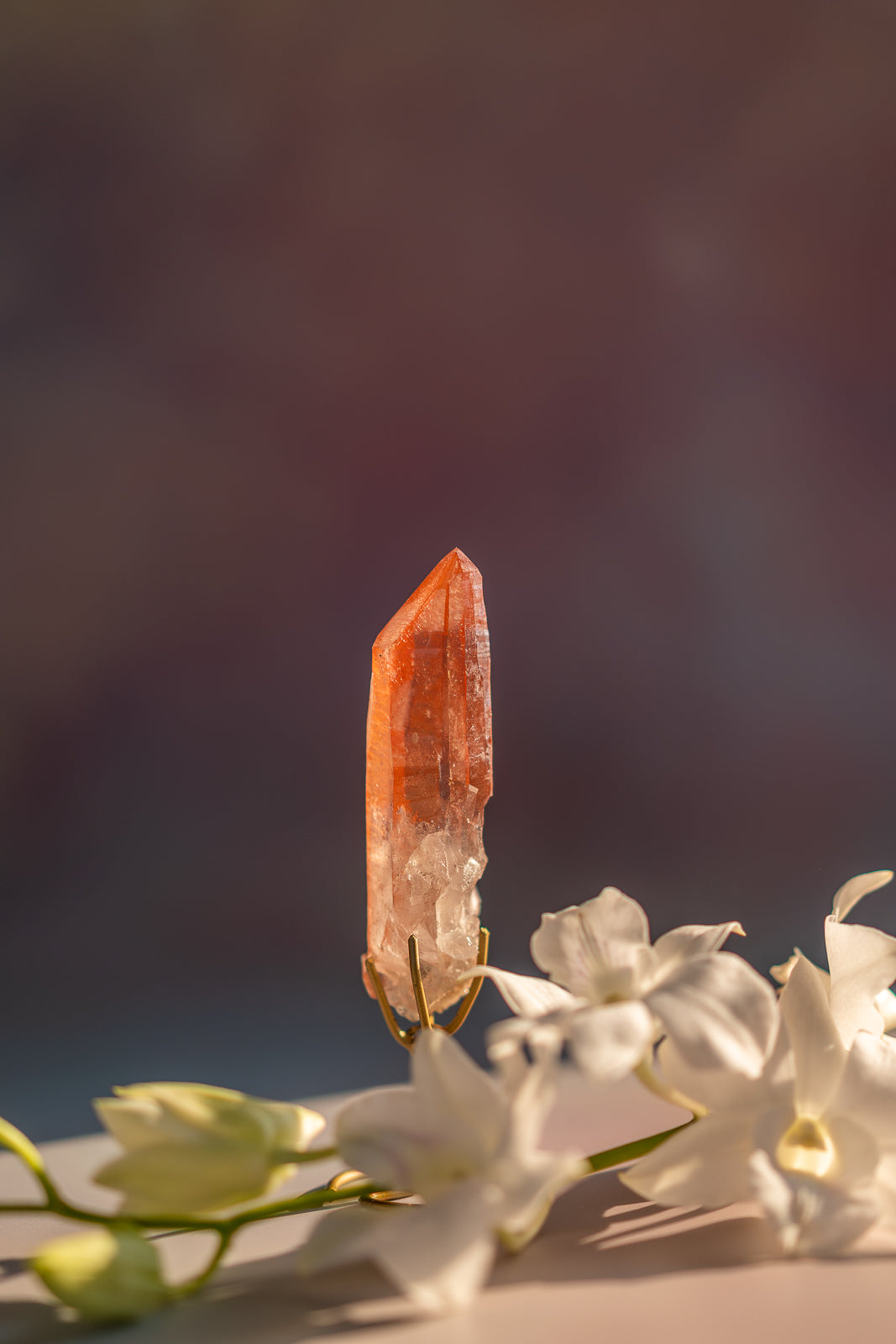 Scarlet Temple Lemurian