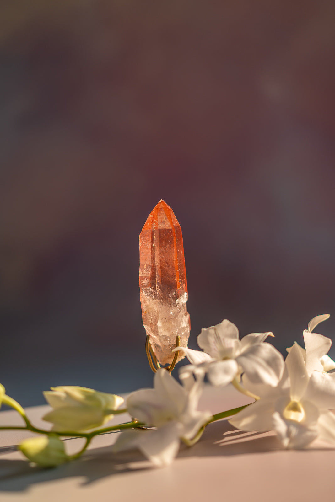 Scarlet Temple Lemurian