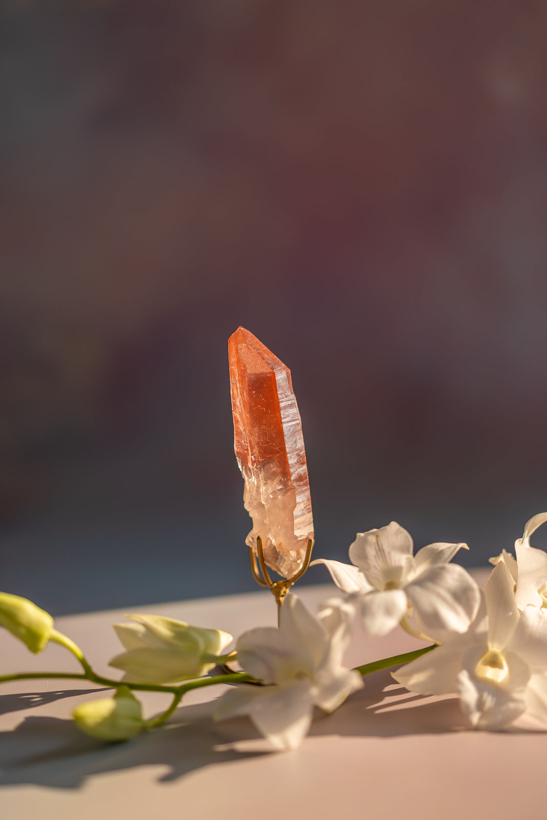 Scarlet Temple Lemurian