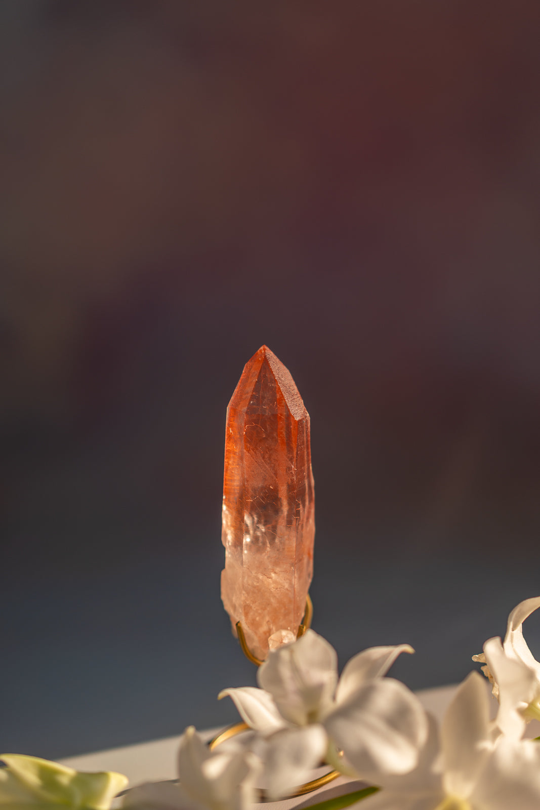 Scarlet Temple Lemurian