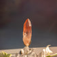 Scarlet Temple Lemurian